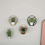 , Wall Hanging Flower Shelf Living Room Balcony Iron Art Free Punching Green Pot Succulent Pot Plant... - House Of Avana
