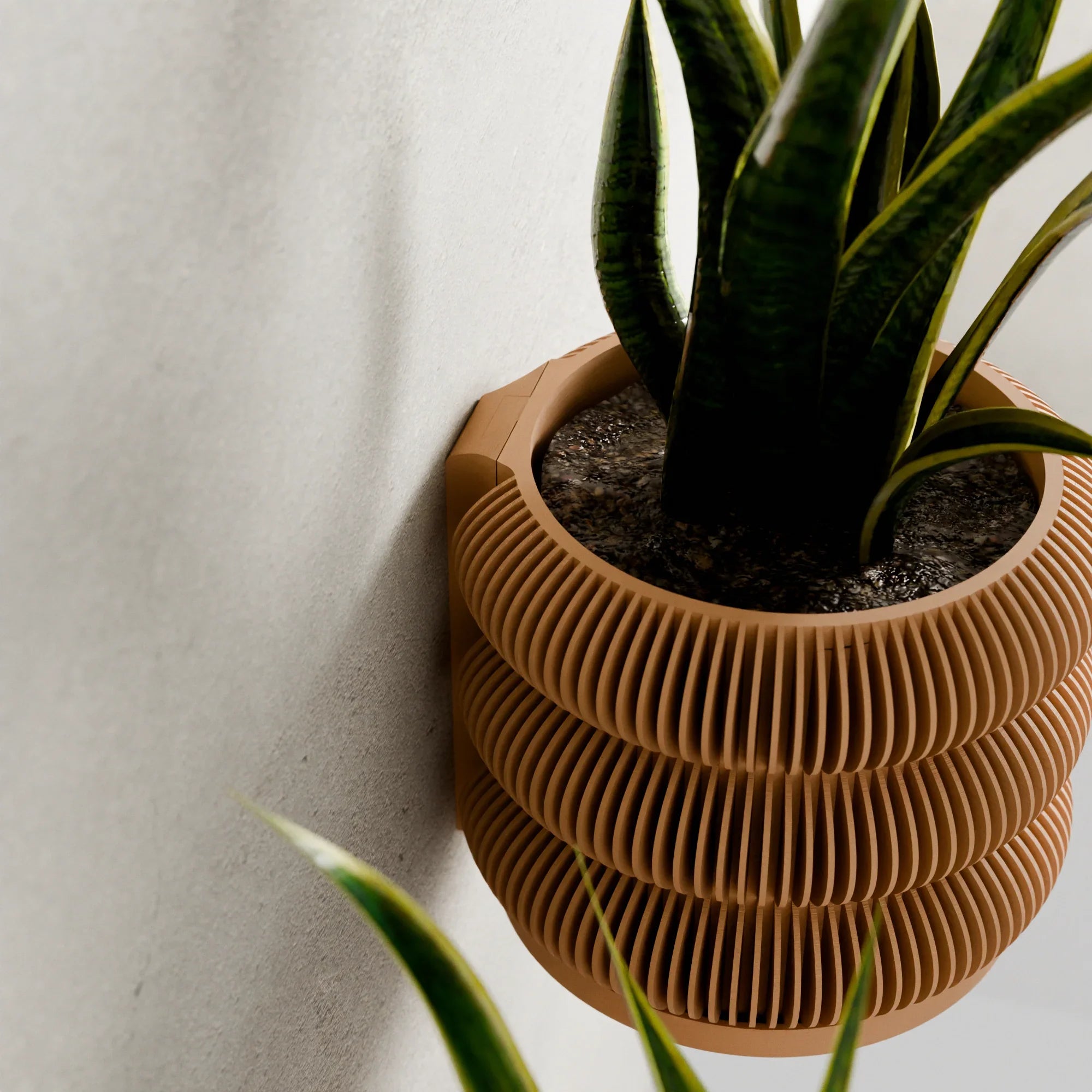 Wall Planter - Triple Bubbles, side view - House Of Avana
