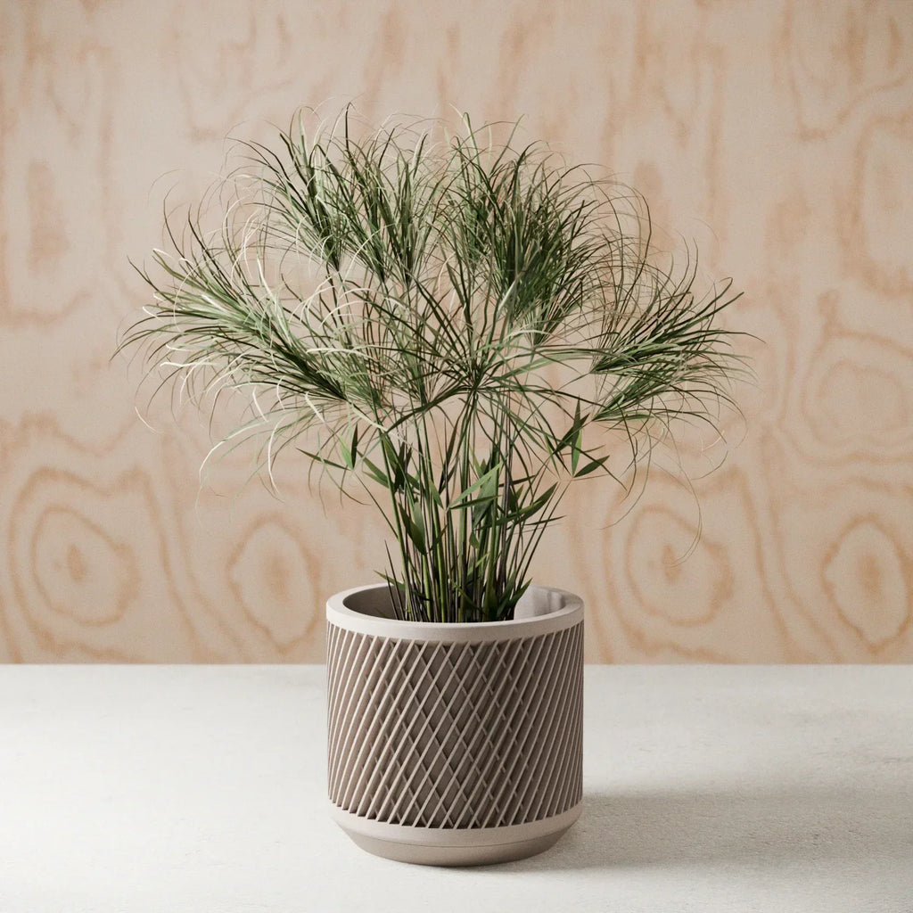 Ceramic Weave Planter with Multilayer Design and Earthy Tone, back view - House Of Avana