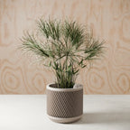 Ceramic Weave Planter with Multilayer Design and Earthy Tone, back view - House Of Avana