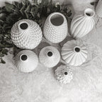 Whitney Vases Gia Roma