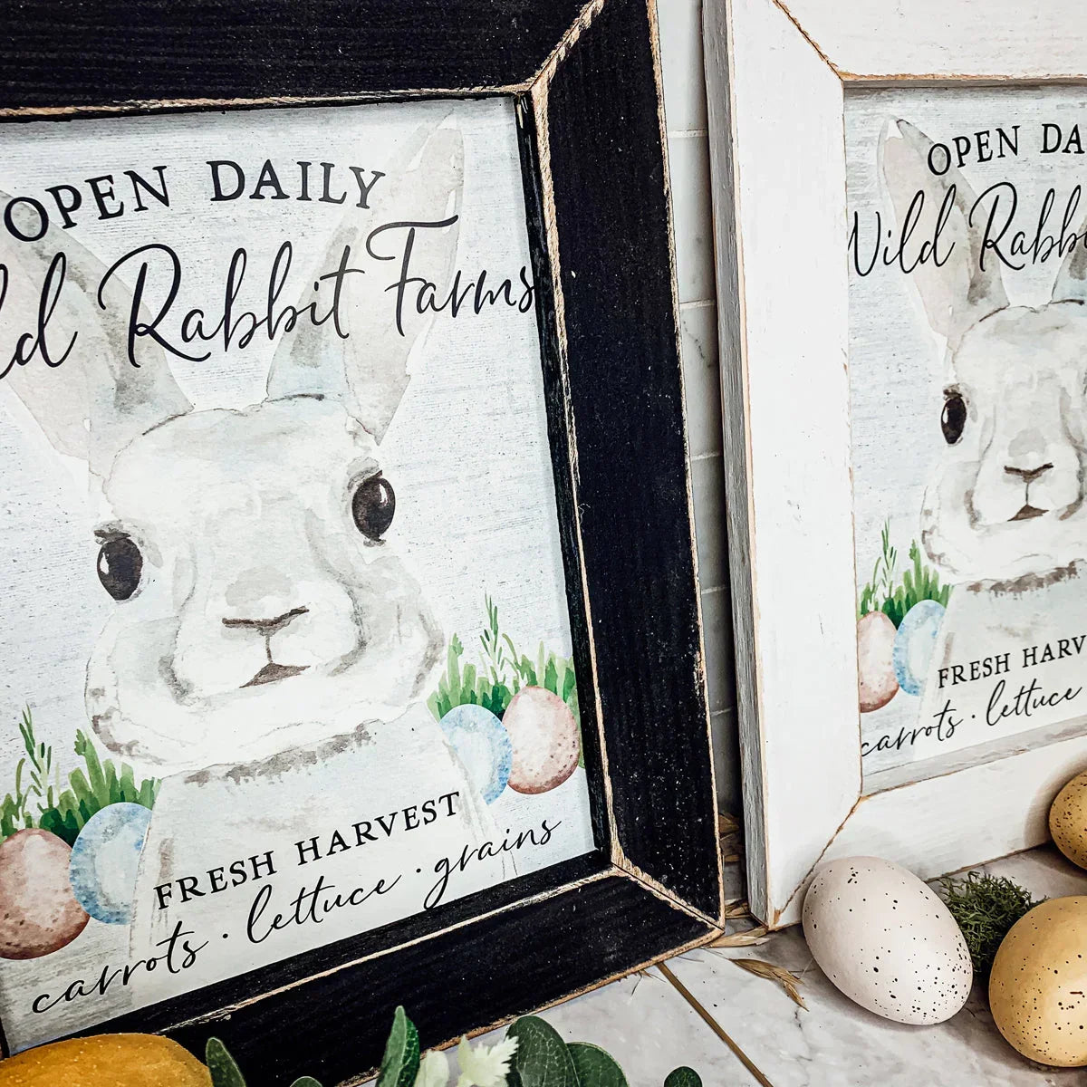 Wild Rabbit Farms Gia Roma