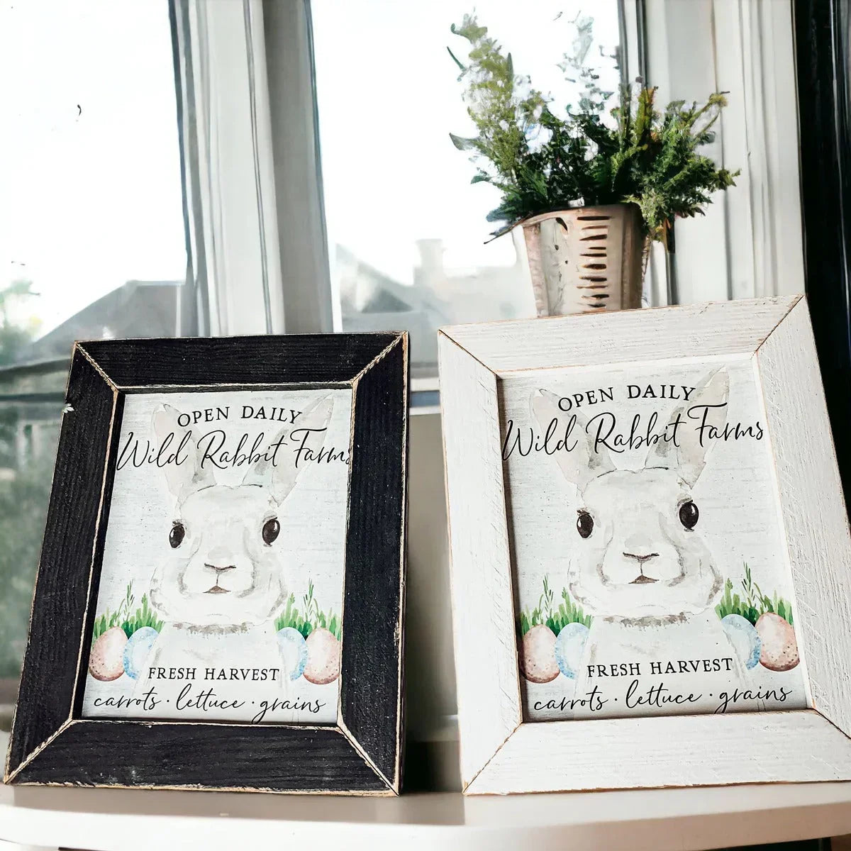 Wild Rabbit Farms Gia Roma