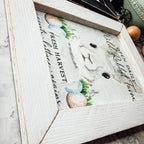 Wild Rabbit Farms Gia Roma