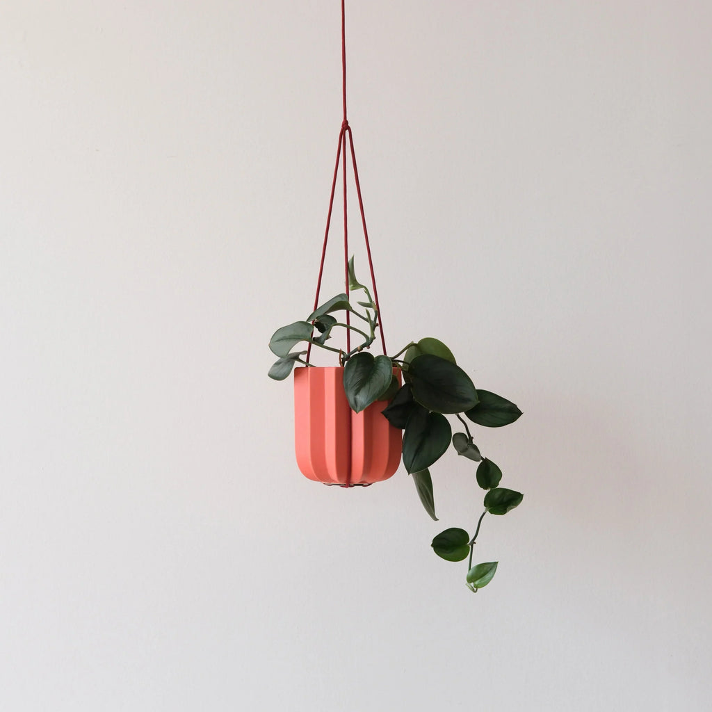 Wrap Hanging Kit Misewell