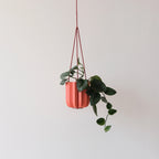 Wrap Hanging Kit Misewell