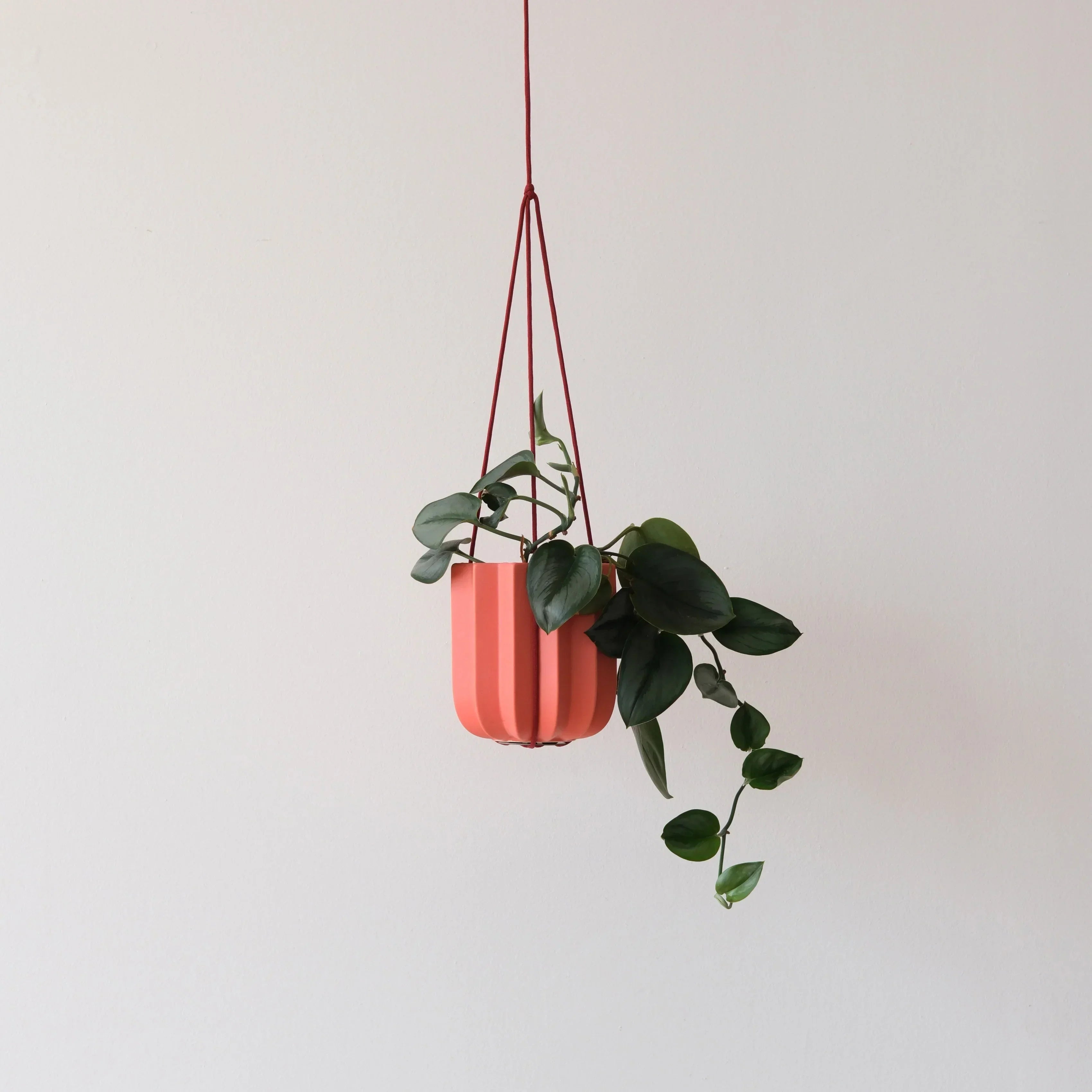 Wrap Hanging Kit Misewell