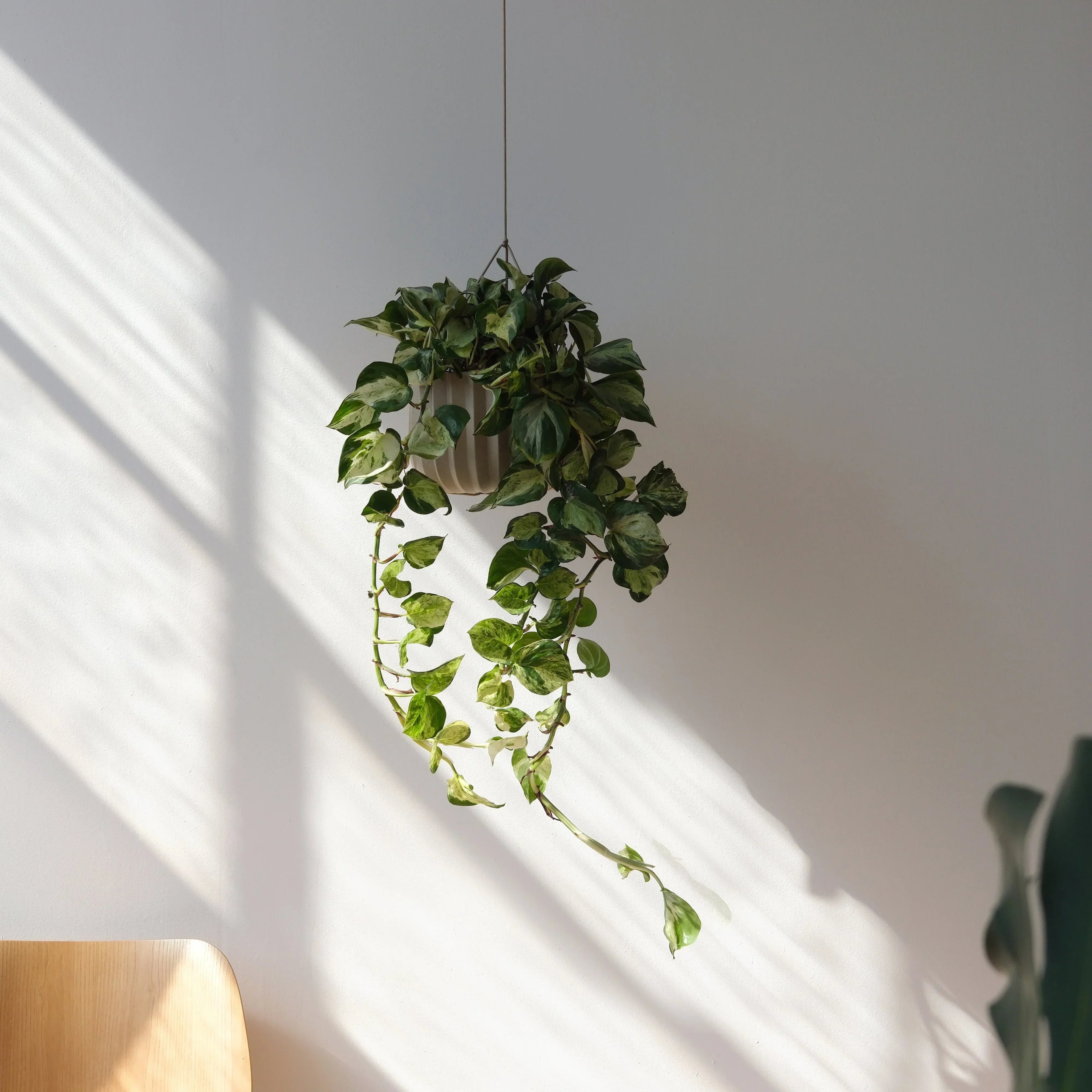 Wrap Hanging Kit Misewell