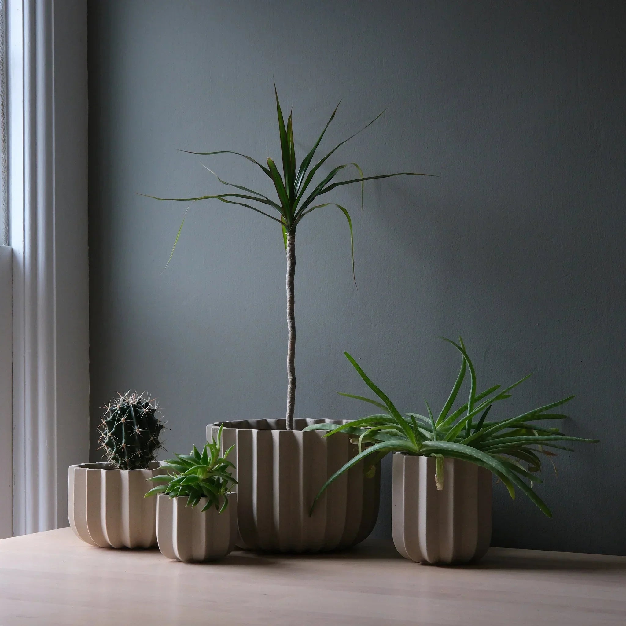 Wrap Planter - 4 sizes Misewell