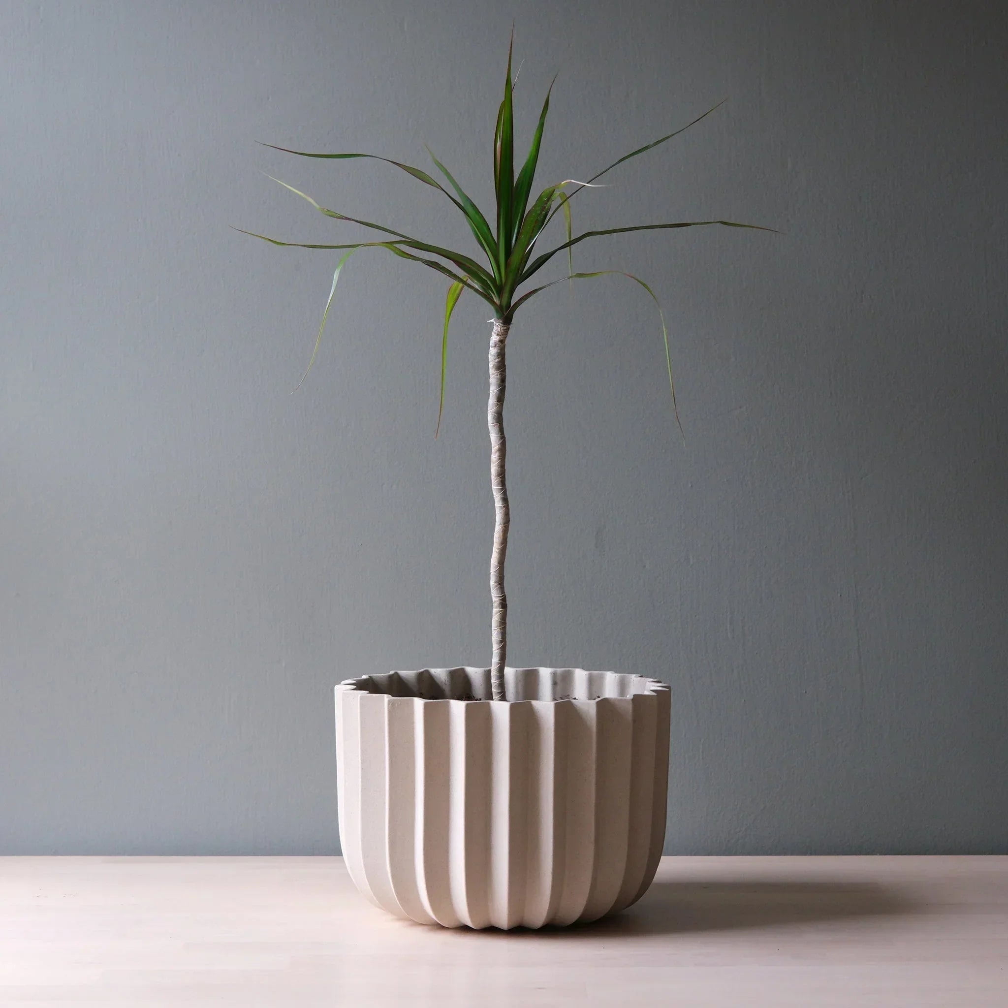 Wrap Planter - 4 sizes Misewell