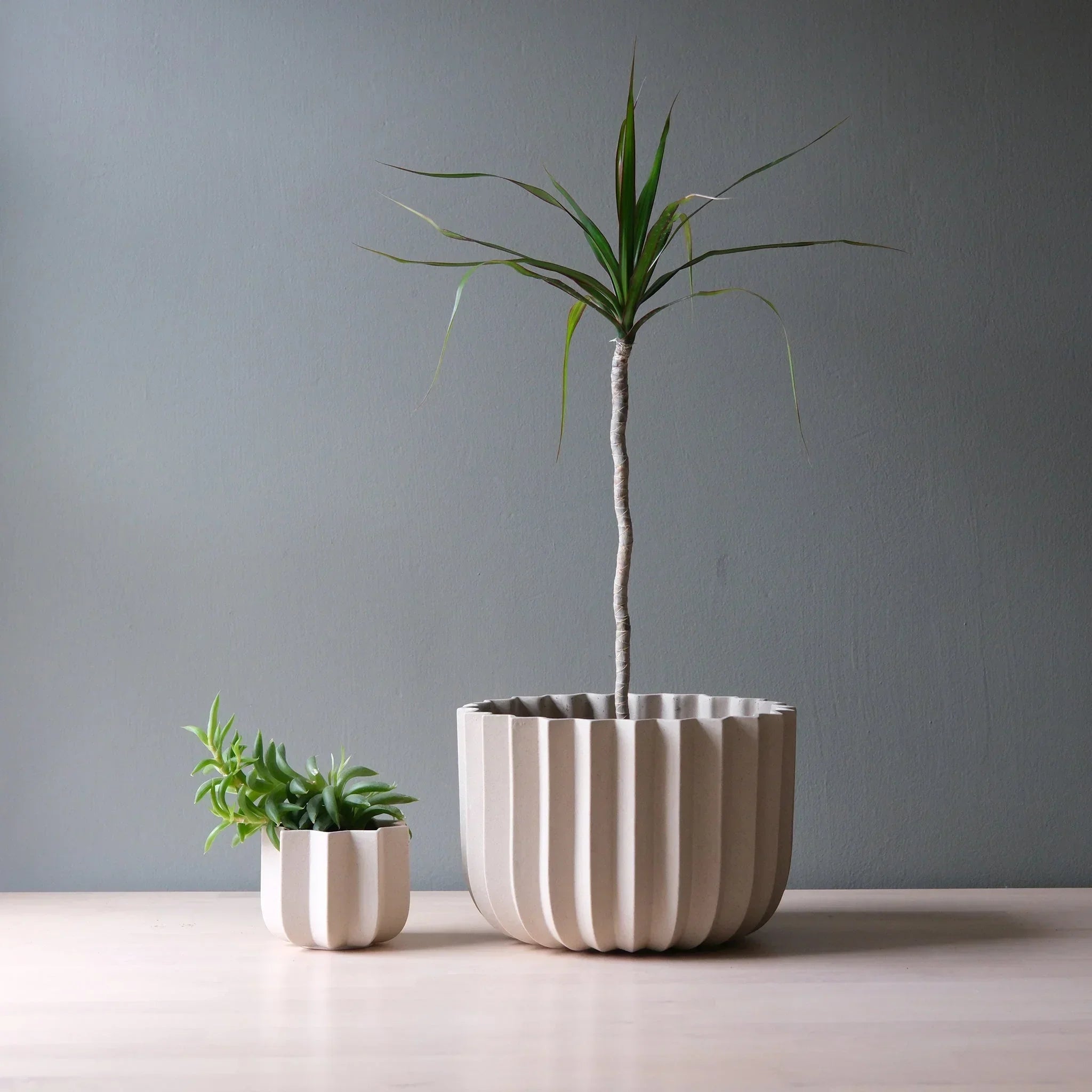 Wrap Planter - 4 sizes Misewell