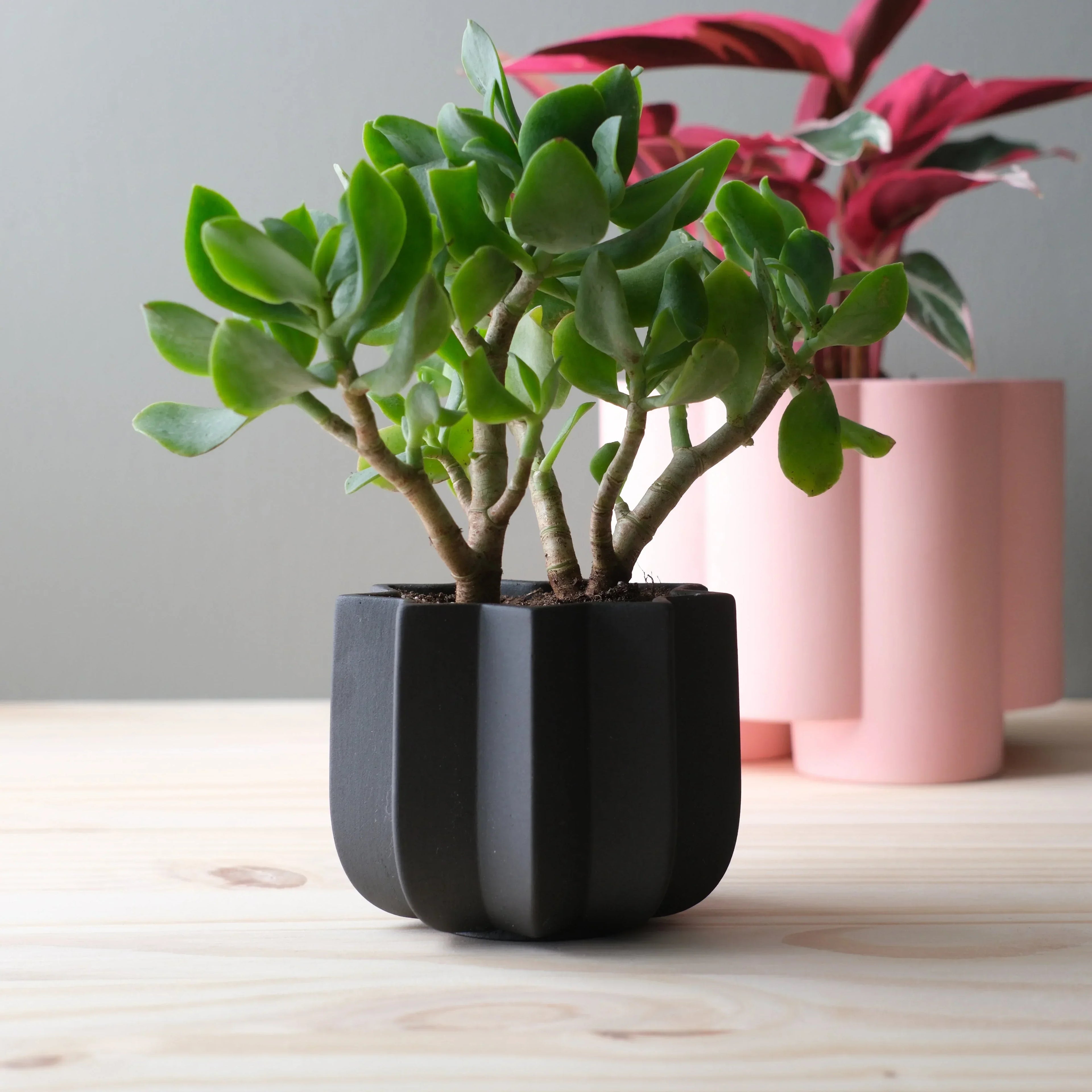 Wrap Planter - 4 sizes Misewell