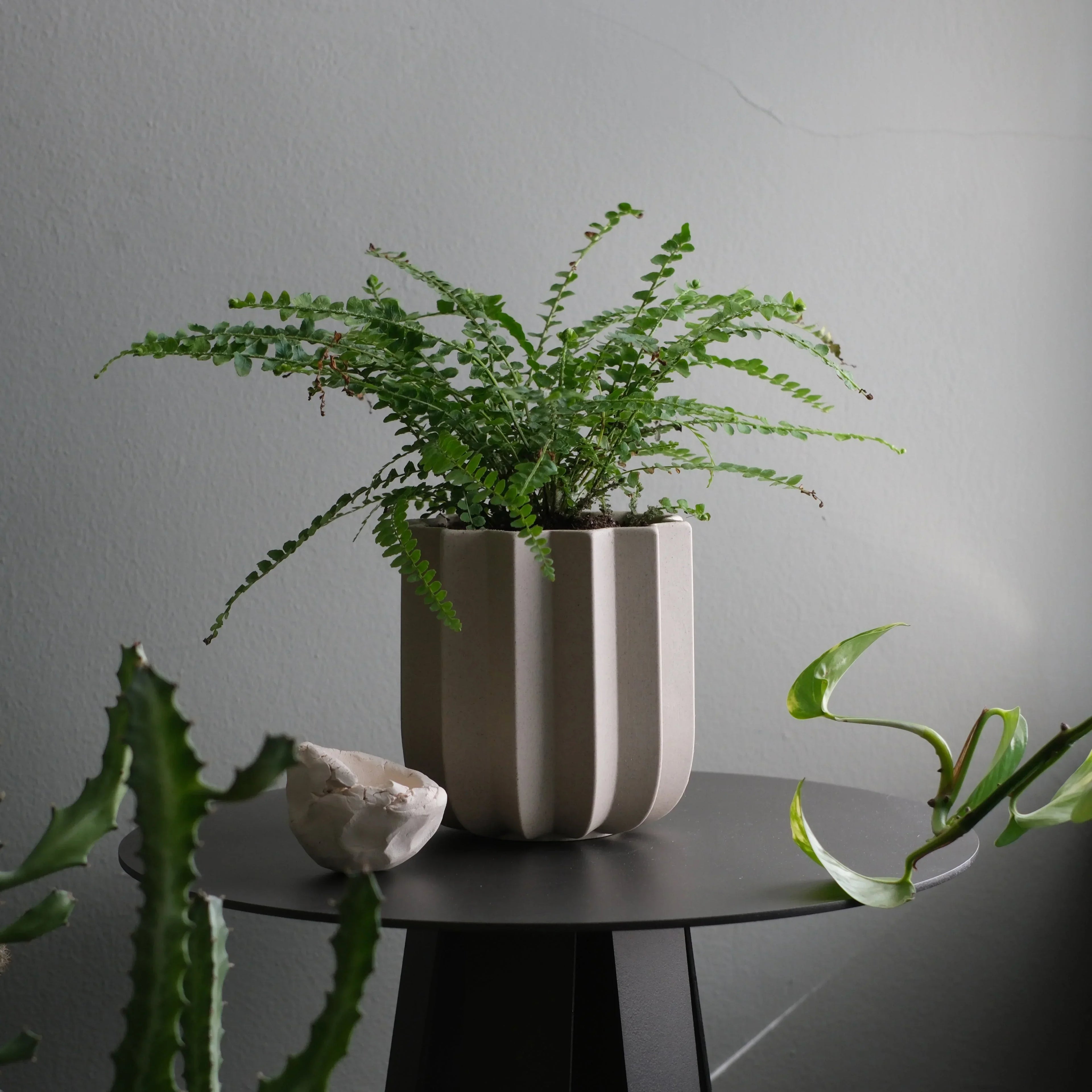 Wrap Planter - 4 sizes Misewell