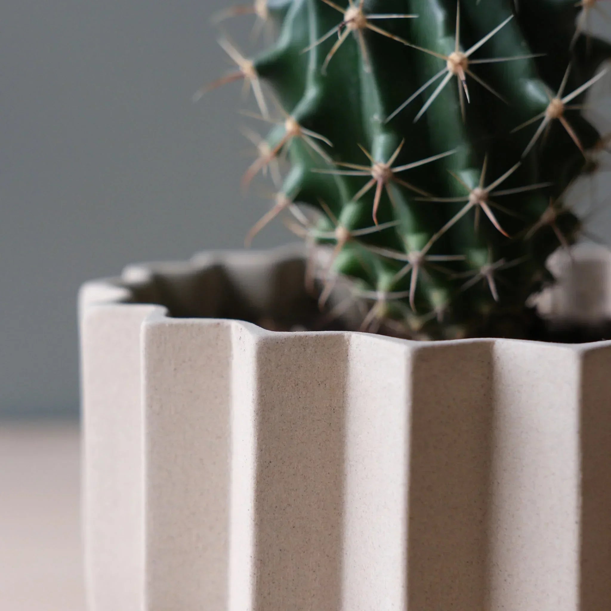 Wrap Planter - 4 sizes Misewell