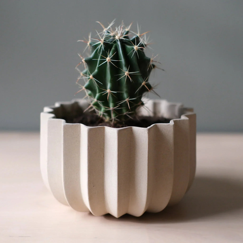 Wrap Planter - 4 sizes Misewell