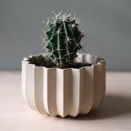 Wrap Planter - 4 sizes Misewell