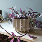 Wrap Planter - 4 sizes Misewell