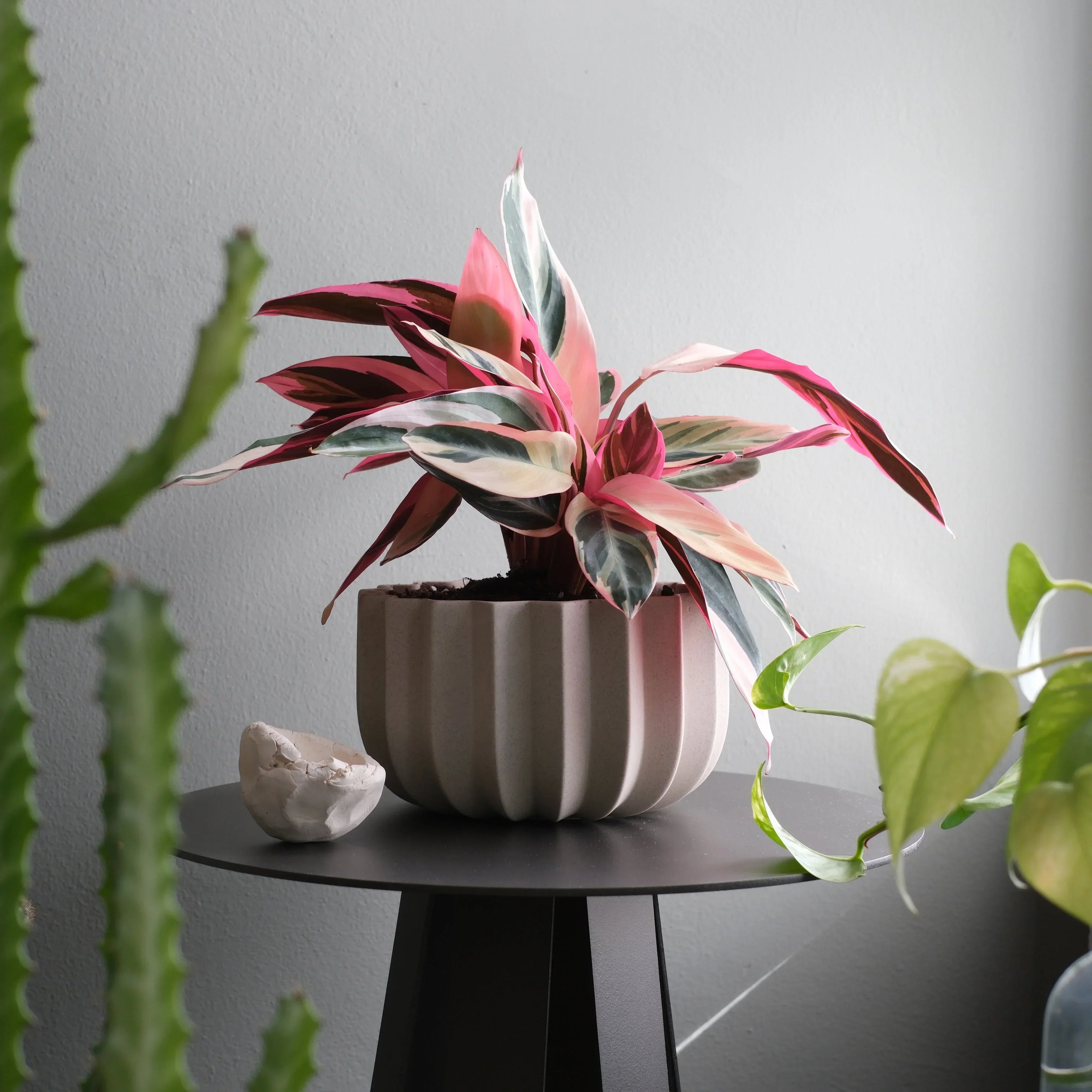 Wrap Planter - 4 sizes Misewell