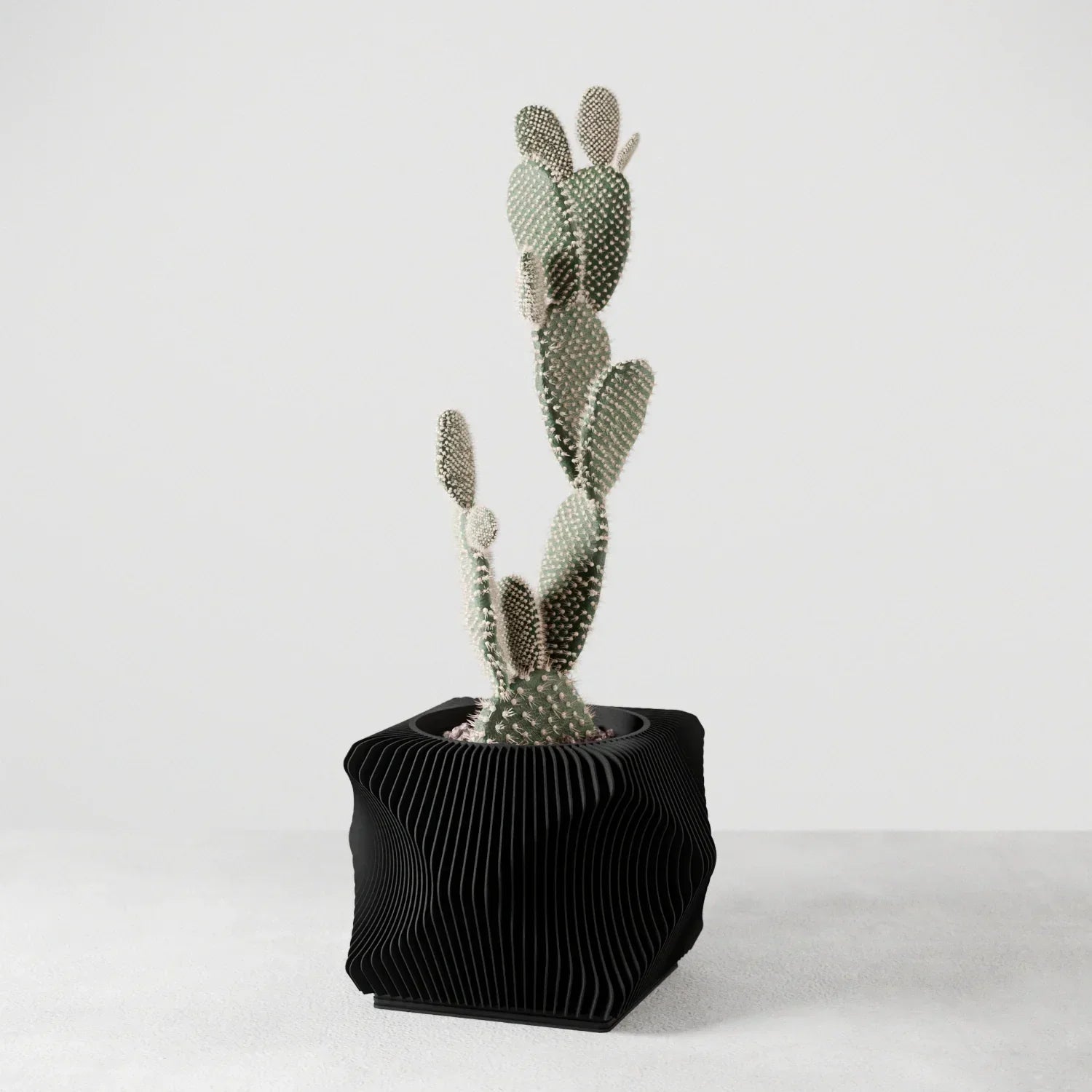 Xenova Planter, back view - House Of Avana