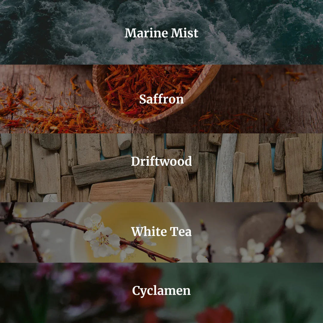 Beach Bungalow Candle 10.6 oz – Marine Air, Driftwood & White Tea Hidden Candles