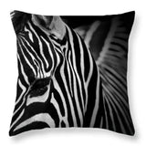 Printed Zebra Inspired Cushion Cover Pillowcase | House of Avana