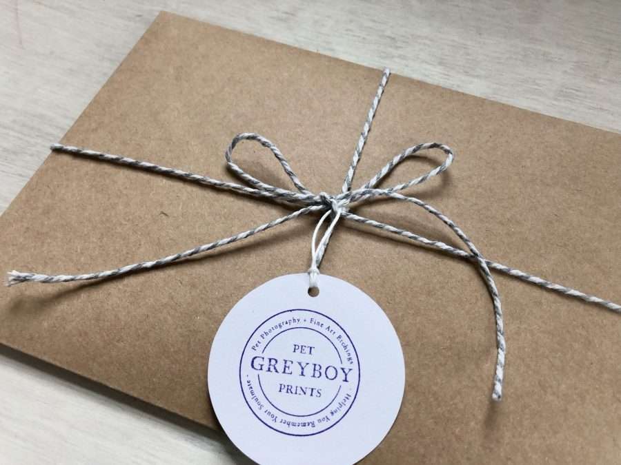 Bernese Nose Dog Portrait Greyboy Pet Prints