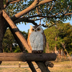 1 Set Realistic Resin Owl Statue - Outdoor Garden Bird Deterrent & Decorative Sculpture, Lifelike Owl Sculpture with Expressive Eyes, Durable Lawn & Patio Decor, Bird Repellent Device, No Batteries/Electricity, Perfect Gift f House Of Avana