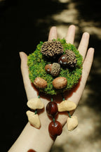 "Acorn Family" Moss Forest Fridge Magnet