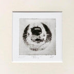 Border Collie Nose Dog Portrait Greyboy Pet Prints