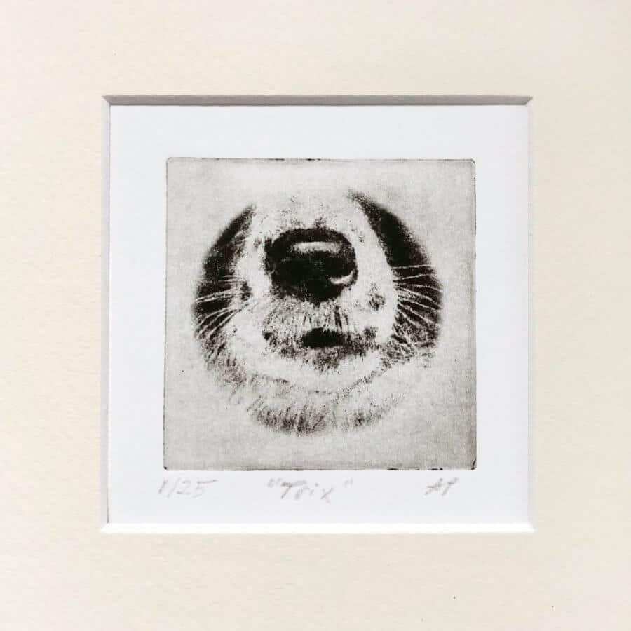 Border Collie Nose Dog Portrait Greyboy Pet Prints