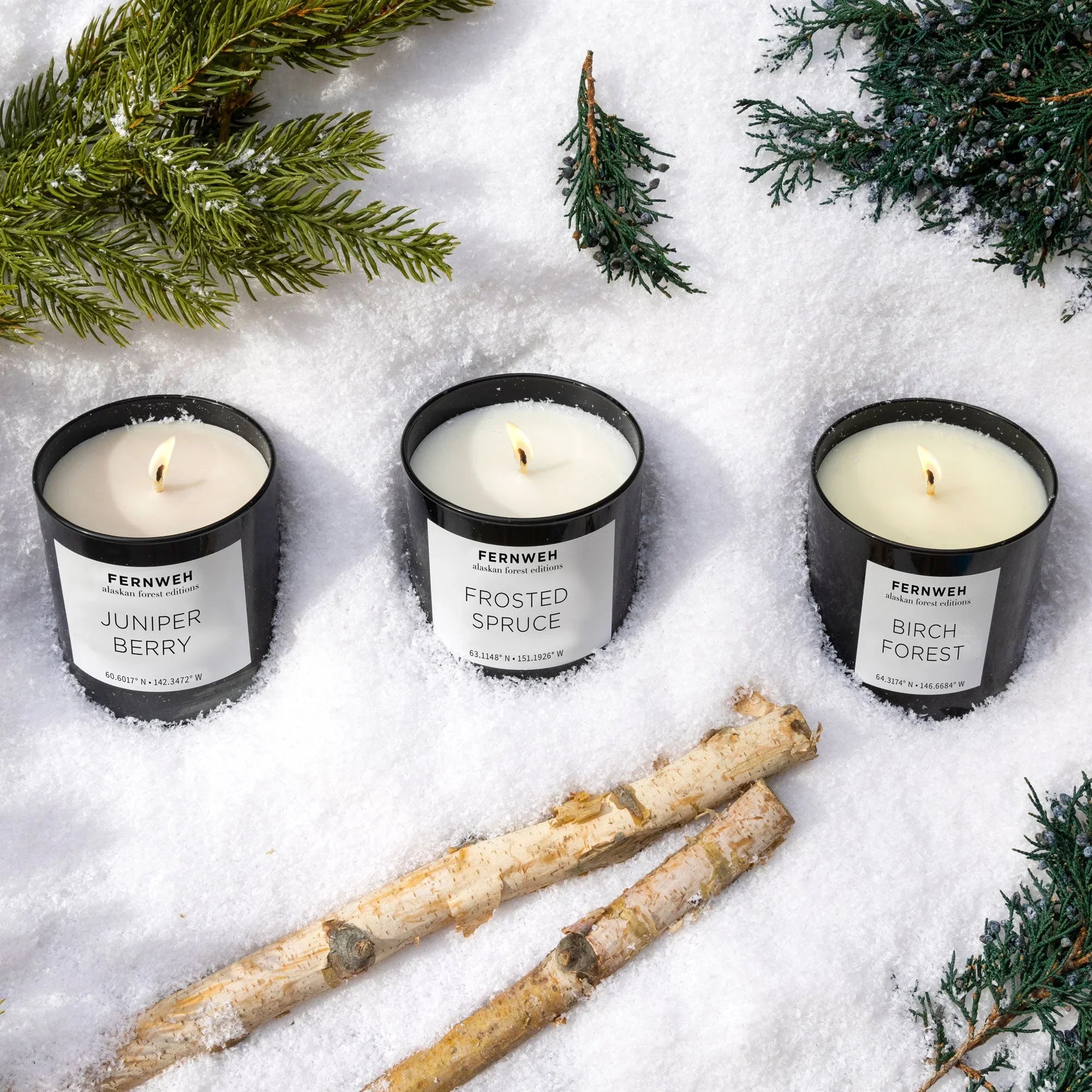 Alaskan Forest Edition: Walk in the Woods Candle Gift Set Fernweh Editions