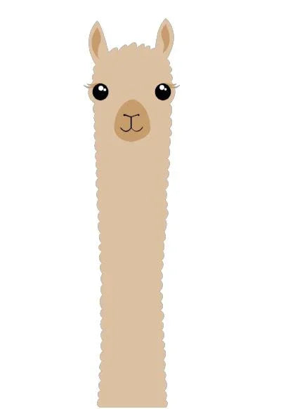 Alpaca Watching Lollipops