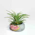 Amazonite Crystal Geode Air Plant Holder Natural Stone Planter, detail shot - House Of Avana