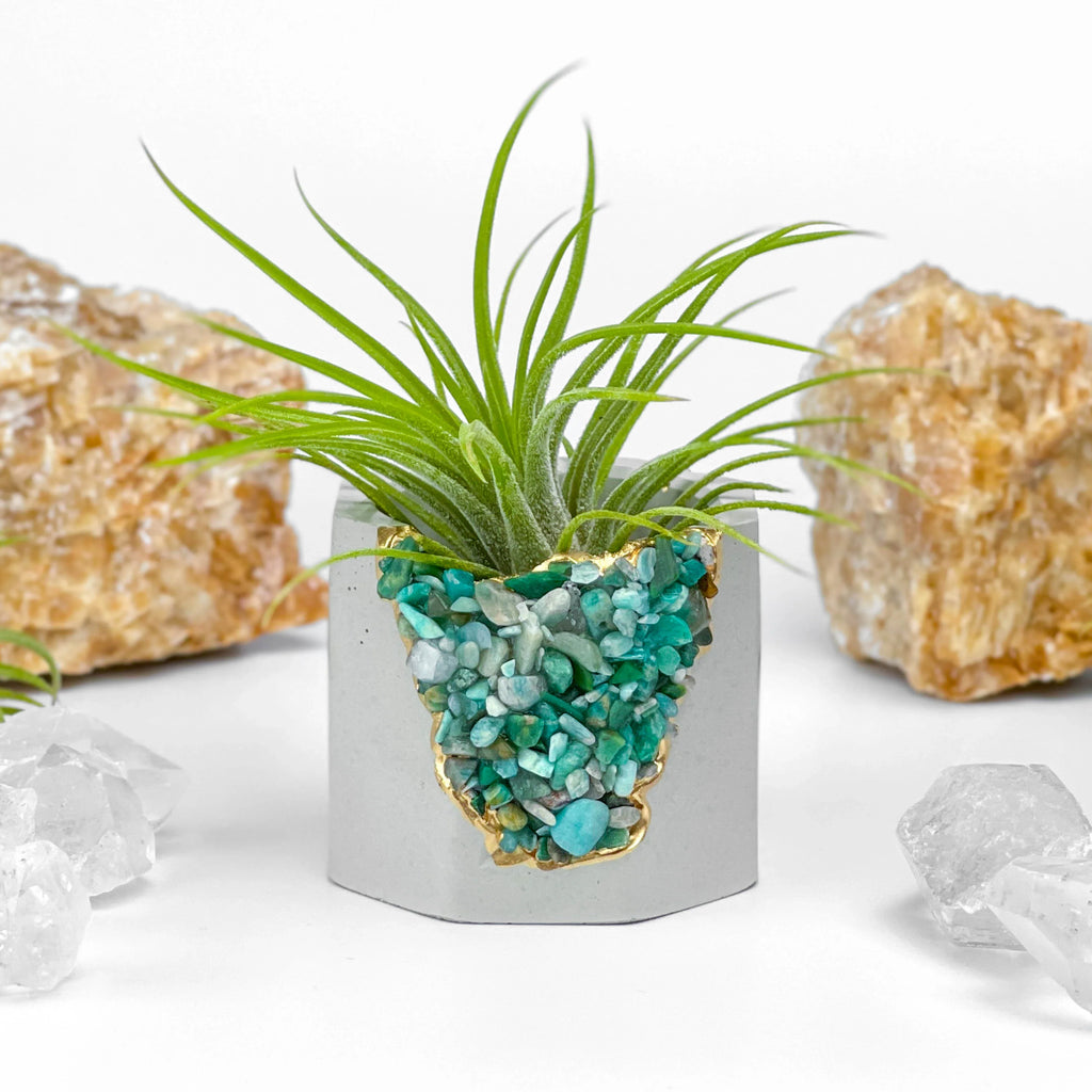 Amazonite Geode Planter Natural Stone Succulent Pot, back view - House Of Avana