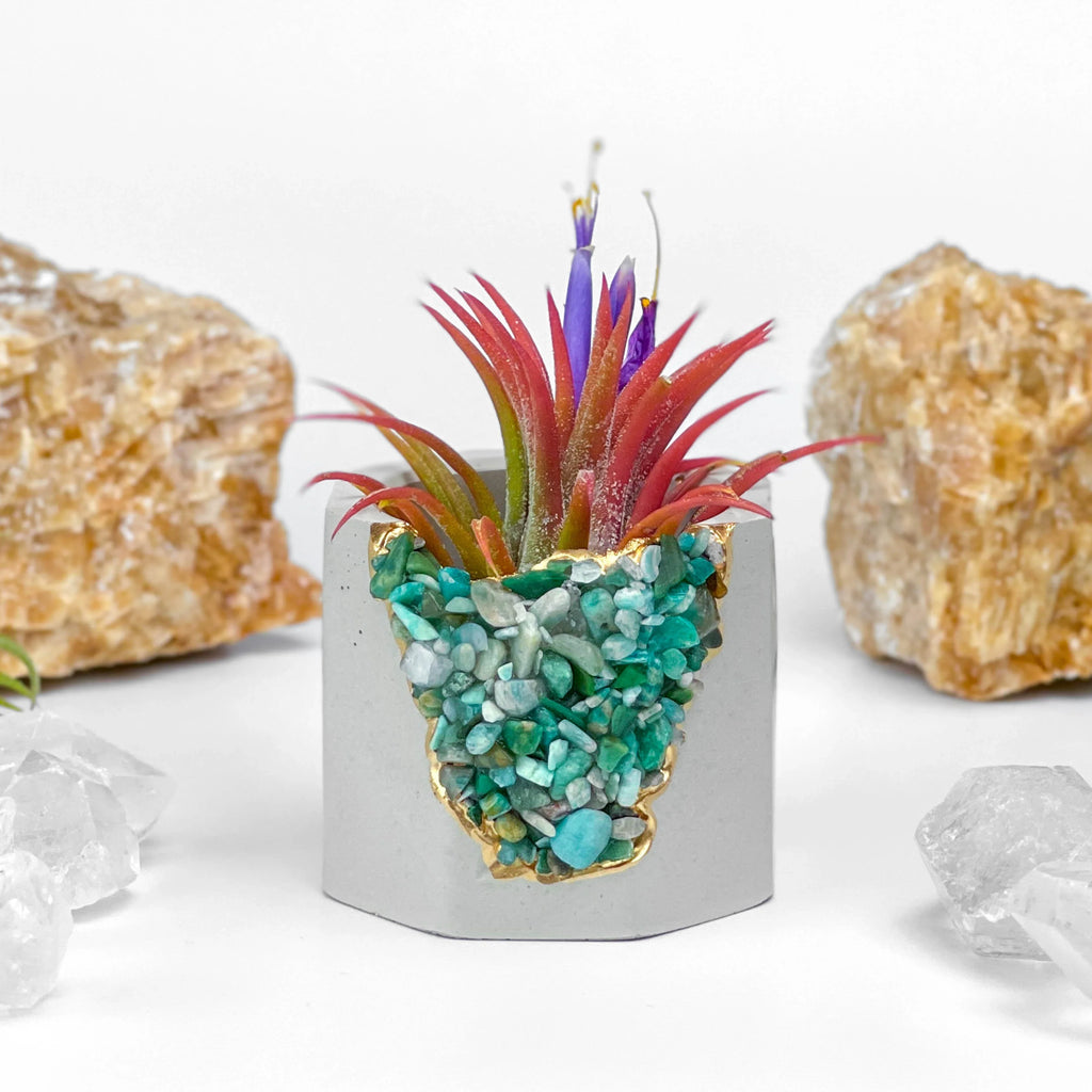Amazonite Geode Planter Natural Stone Succulent Pot, side view - House Of Avana