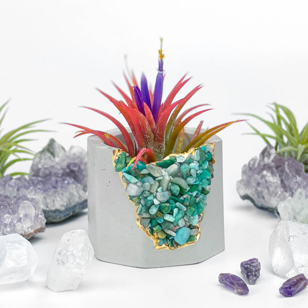 Amazonite Geode Planter Natural Stone Succulent Pot, detail shot - House Of Avana