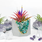 Amazonite Geode Planter Natural Stone Succulent Pot, detail shot - House Of Avana