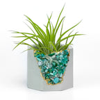 Amazonite Geode Planter Natural Stone Succulent Pot, lifestyle image - House Of Avana