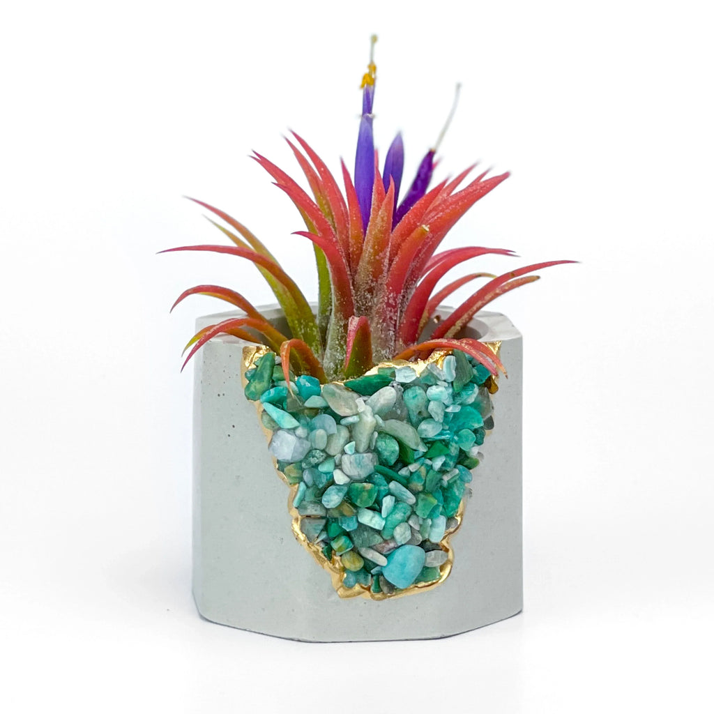Amazonite Geode Planter Natural Stone Succulent Pot, angled view - House Of Avana