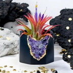Amethyst Geode Planter, Black, Natural Stone, front view - House Of Avana