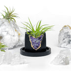 Amethyst Geode Planter, Black, Natural Stone, close-up view - House Of Avana