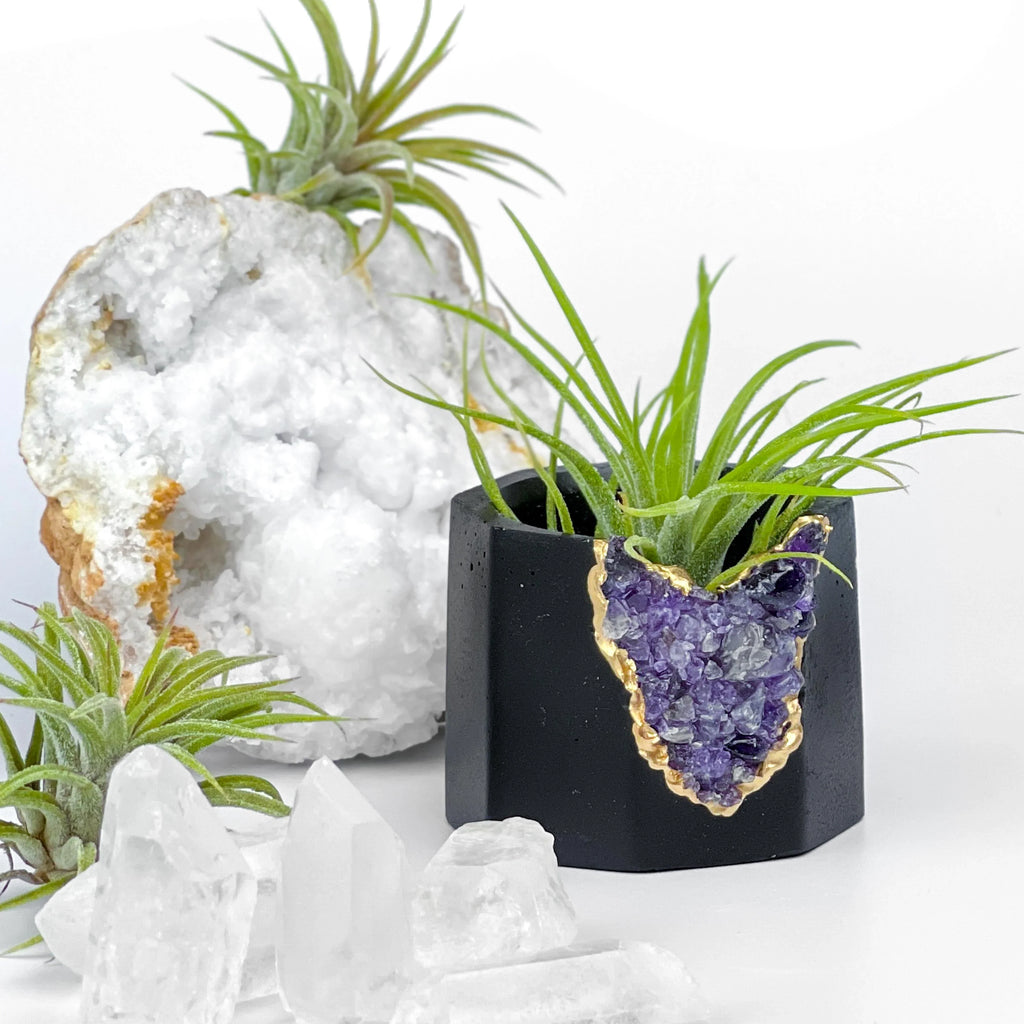 Amethyst Geode Planter, Black, Natural Stone, texture detail - House Of Avana