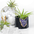 Amethyst Geode Planter, Black, Natural Stone, texture detail - House Of Avana