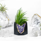 Amethyst Geode Planter, Black, Natural Stone, back view - House Of Avana
