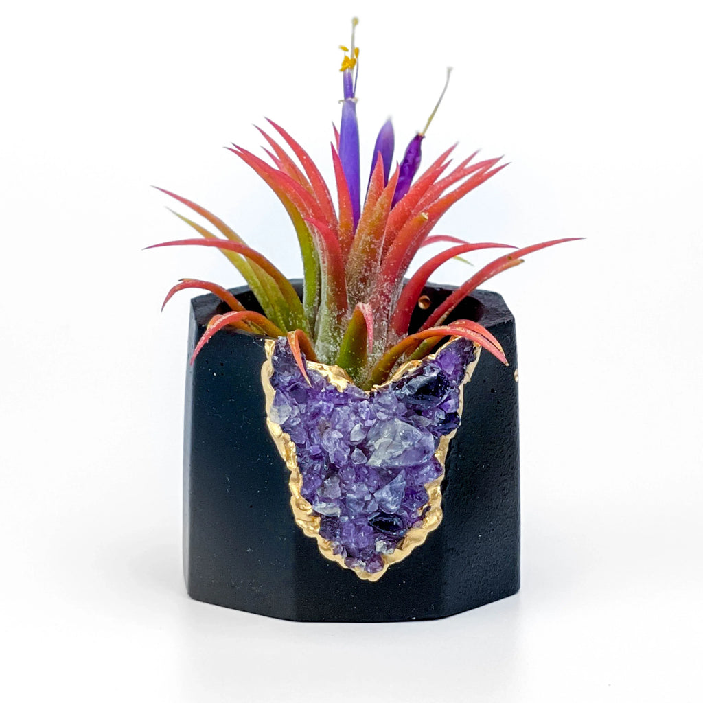 Amethyst Geode Planter, Black, Natural Stone, side view - House Of Avana