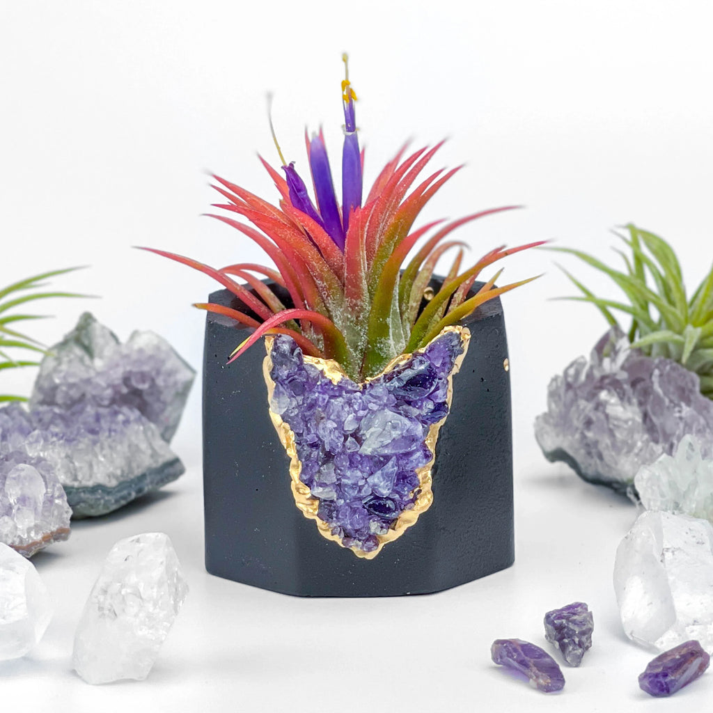 Amethyst Geode Planter, Black, Natural Stone, detail shot - House Of Avana