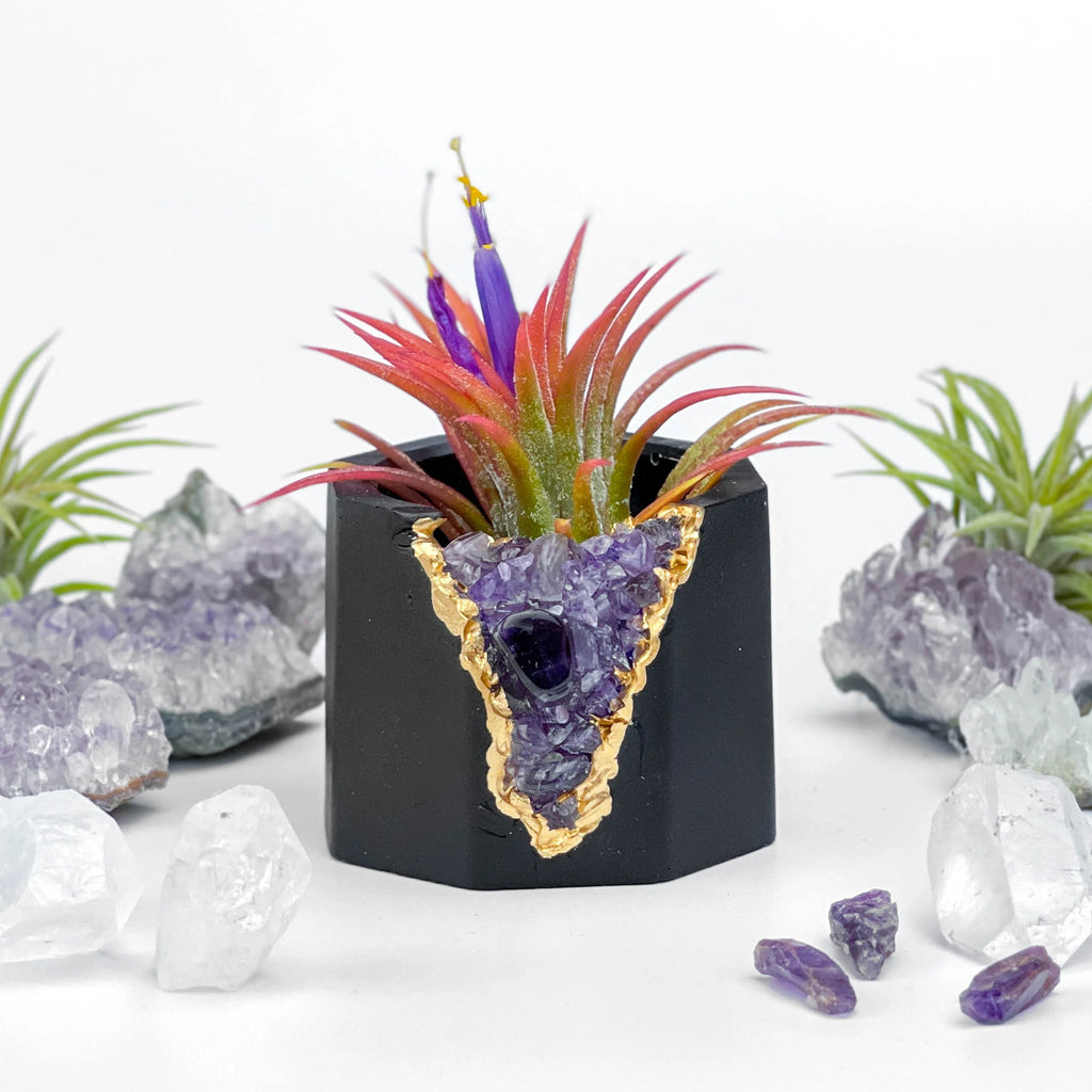 Amethyst Geode Planter, Black, Natural Stone, angled view - House Of Avana