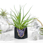Amethyst Geode Planter, Black, Natural Stone, angled view - House Of Avana