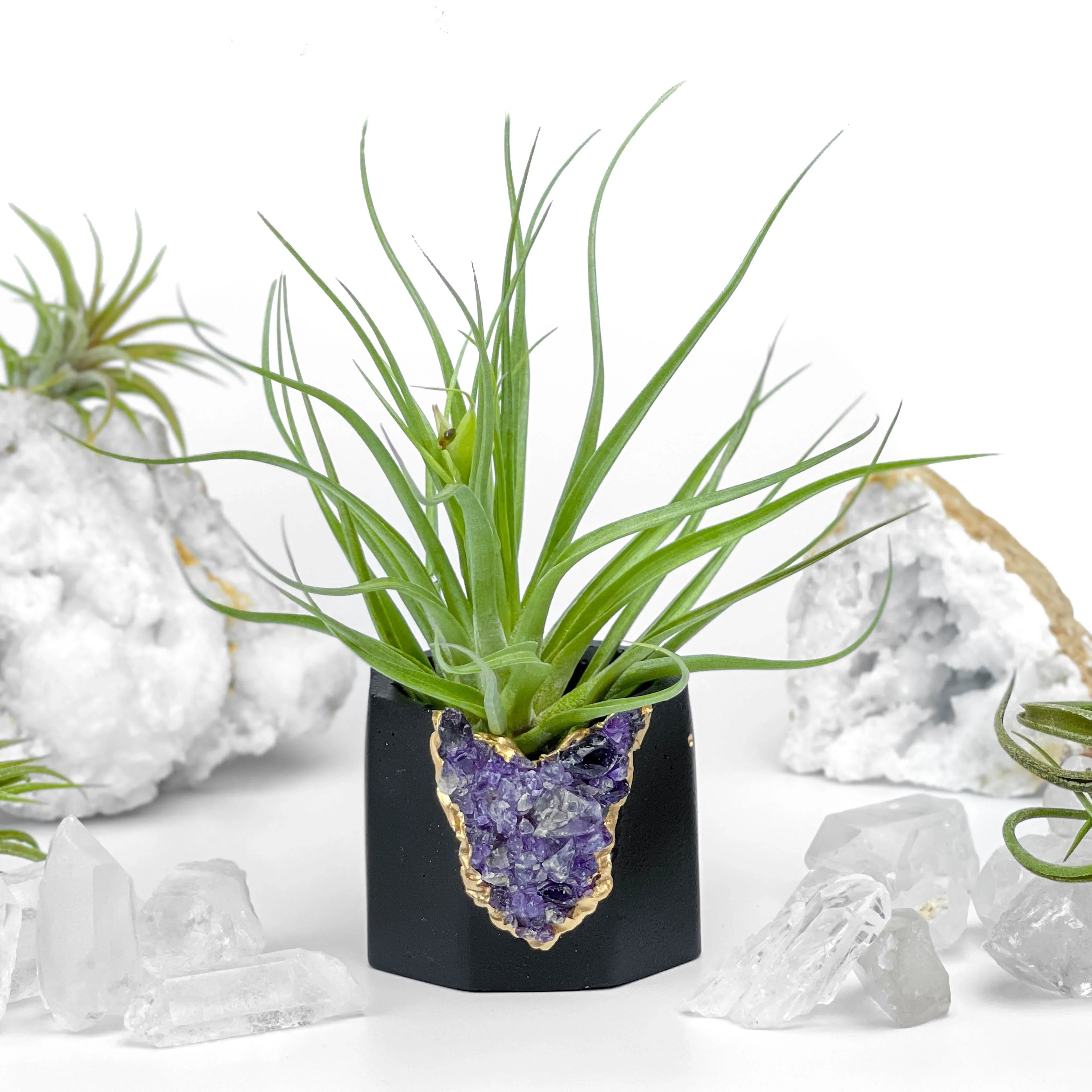 Amethyst Geode Planter, Black, Natural Stone, angled view - House Of Avana