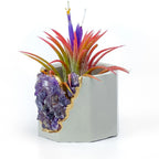 AMETHYST GEODE PLANTER - House of Avana